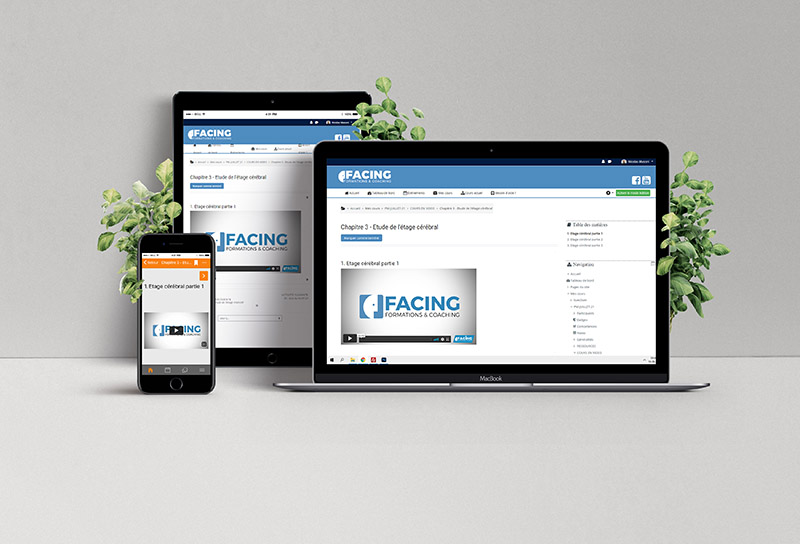 Formation pour entreprises FACING Formation pour entreprises FACING